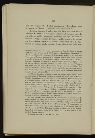_0223_S.Amato da Nusco_Monografia storico critica_227.webp