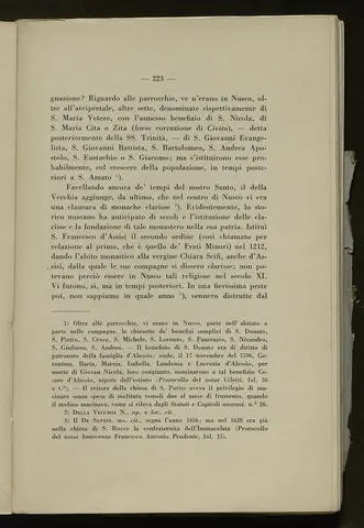 _0224_S.Amato da Nusco_Monografia storico critica_228.webp