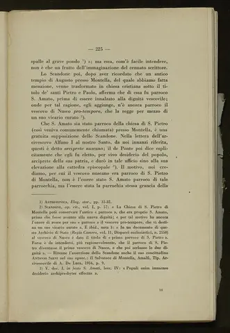 _0226_S.Amato da Nusco_Monografia storico critica_230.webp