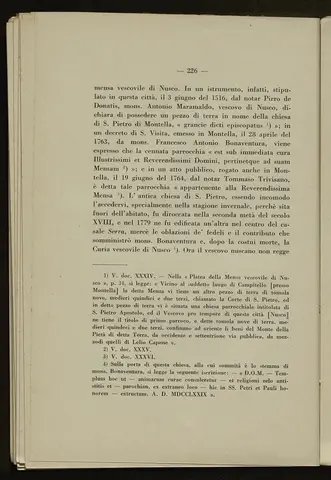 _0227_S.Amato da Nusco_Monografia storico critica_231.webp