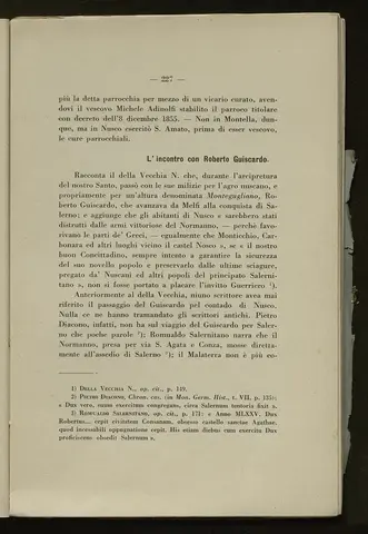 _0228_S.Amato da Nusco_Monografia storico critica_232.webp