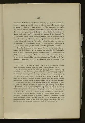 _0230_S.Amato da Nusco_Monografia storico critica_234.webp