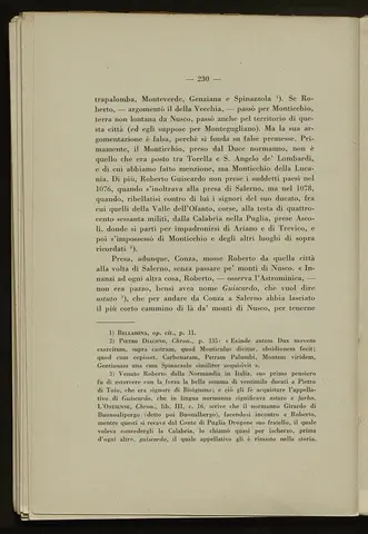 _0231_S.Amato da Nusco_Monografia storico critica_235.webp