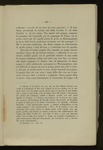 _0234_S.Amato da Nusco_Monografia storico critica_238.webp