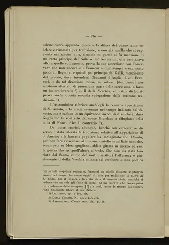_0237_S.Amato da Nusco_Monografia storico critica_241.webp