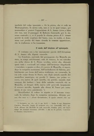 _0238_S.Amato da Nusco_Monografia storico critica_242.webp
