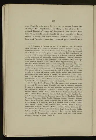 _0239_S.Amato da Nusco_Monografia storico critica_243.webp