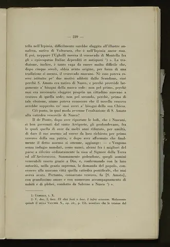 _0240_S.Amato da Nusco_Monografia storico critica_244.webp