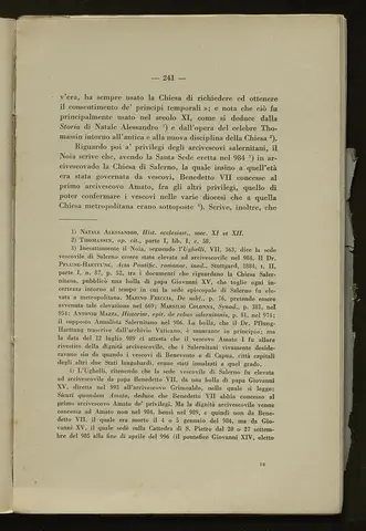 _0242_S.Amato da Nusco_Monografia storico critica_246.webp