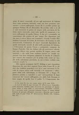 _0246_S.Amato da Nusco_Monografia storico critica_250.webp