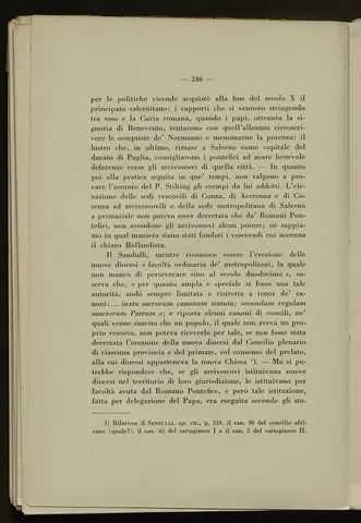 _0247_S.Amato da Nusco_Monografia storico critica_251.webp