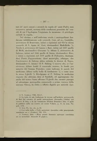_0248_S.Amato da Nusco_Monografia storico critica_252.webp