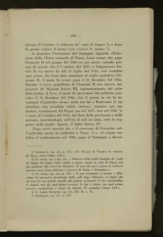 _0250_S.Amato da Nusco_Monografia storico critica_254.webp