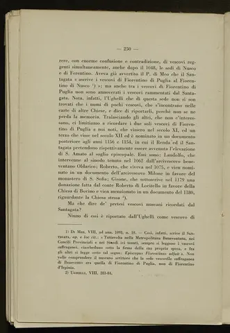 _0251_S.Amato da Nusco_Monografia storico critica_255.webp