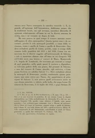 _0254_S.Amato da Nusco_Monografia storico critica_258.webp