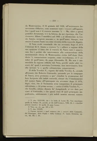 _0255_S.Amato da Nusco_Monografia storico critica_259.webp