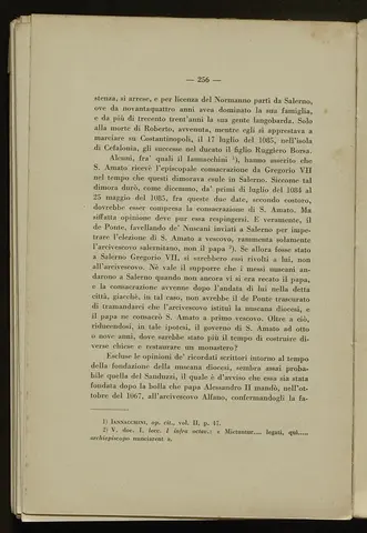 _0257_S.Amato da Nusco_Monografia storico critica_261.webp