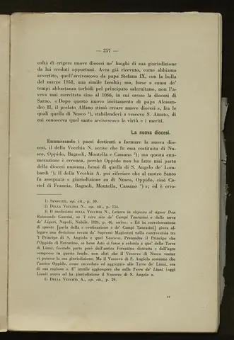 _0258_S.Amato da Nusco_Monografia storico critica_262.webp