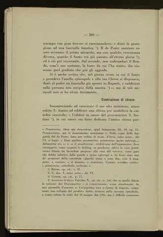 _0261_S.Amato da Nusco_Monografia storico critica_265.webp