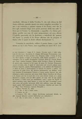 _0262_S.Amato da Nusco_Monografia storico critica_266.webp