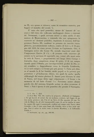 _0263_S.Amato da Nusco_Monografia storico critica_267.webp