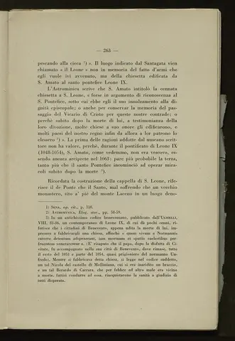 _0264_S.Amato da Nusco_Monografia storico critica_268.webp