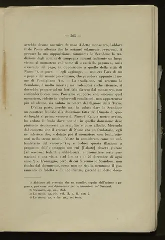_0266_S.Amato da Nusco_Monografia storico critica_270.webp