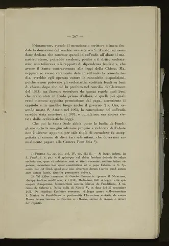_0268_S.Amato da Nusco_Monografia storico critica_272.webp