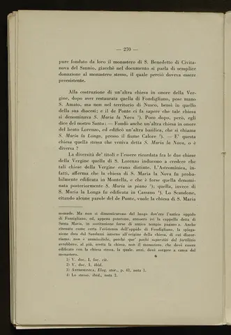 _0271_S.Amato da Nusco_Monografia storico critica_275.webp
