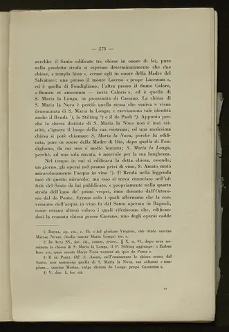 _0274_S.Amato da Nusco_Monografia storico critica_278.webp