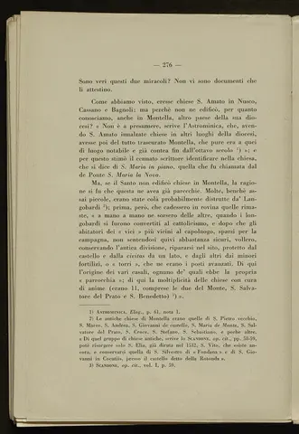 _0277_S.Amato da Nusco_Monografia storico critica_281.webp