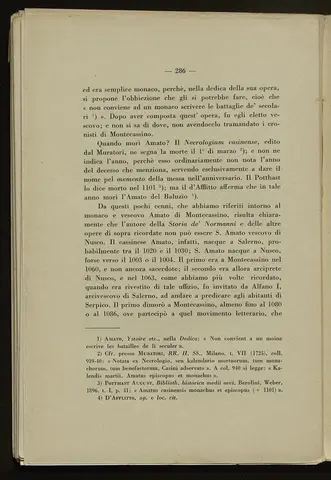 _0287_S.Amato da Nusco_Monografia storico critica_291.webp