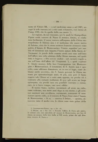 _0289_S.Amato da Nusco_Monografia storico critica_293.webp