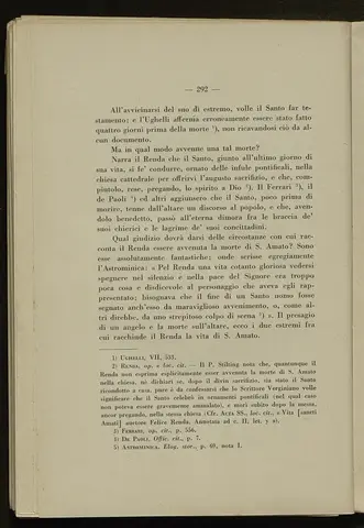 _0293_S.Amato da Nusco_Monografia storico critica_297.webp