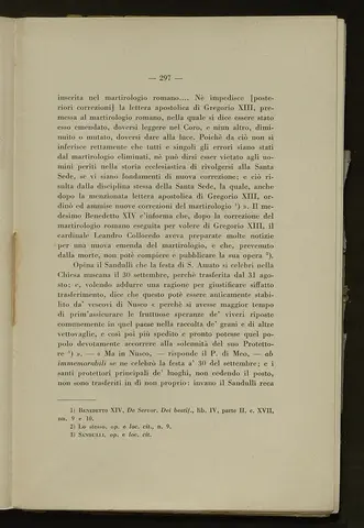 _0298_S.Amato da Nusco_Monografia storico critica_302.webp