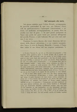 _0305_S.Amato da Nusco_Monografia storico critica_309.webp