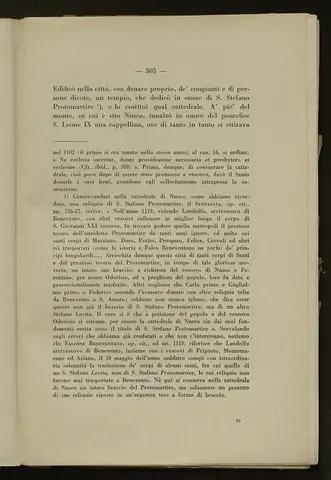 _0306_S.Amato da Nusco_Monografia storico critica_310.webp