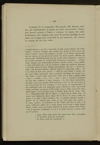 _0309_S.Amato da Nusco_Monografia storico critica_313.webp