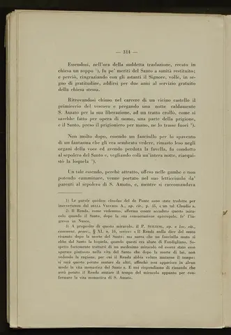 _0315_S.Amato da Nusco_Monografia storico critica_319.webp