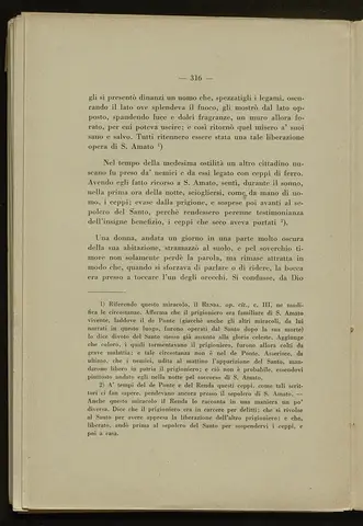 _0317_S.Amato da Nusco_Monografia storico critica_321.webp