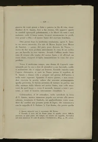 _0320_S.Amato da Nusco_Monografia storico critica_324.webp