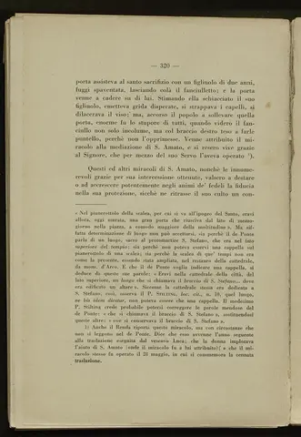 _0321_S.Amato da Nusco_Monografia storico critica_325.webp