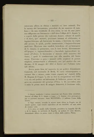 _0323_S.Amato da Nusco_Monografia storico critica_327.webp