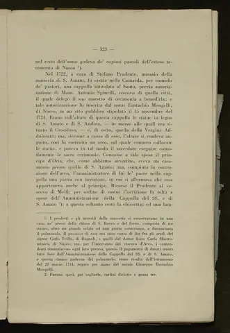 _0324_S.Amato da Nusco_Monografia storico critica_328.webp
