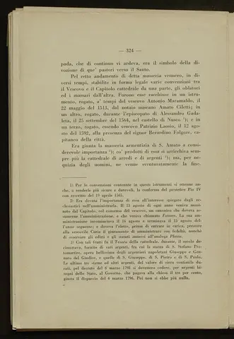_0325_S.Amato da Nusco_Monografia storico critica_329.webp