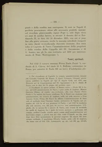 _0327_S.Amato da Nusco_Monografia storico critica_331.webp