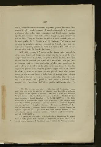 _0330_S.Amato da Nusco_Monografia storico critica_334.webp