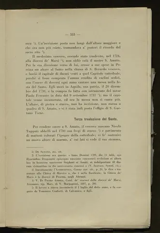 _0334_S.Amato da Nusco_Monografia storico critica_338.webp