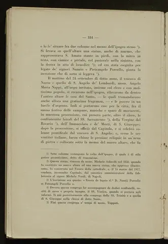 _0335_S.Amato da Nusco_Monografia storico critica_339.webp