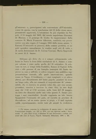 _0340_S.Amato da Nusco_Monografia storico critica_344.webp